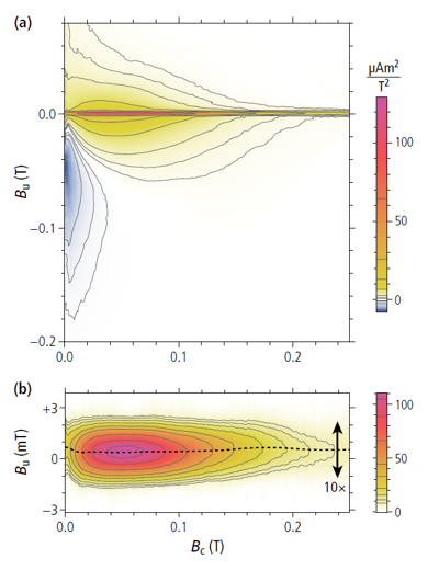 FORC Diagram of Magnetofossil Sample