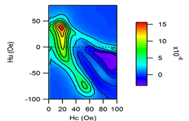 FORC diagram for nanocomposite magnetic material